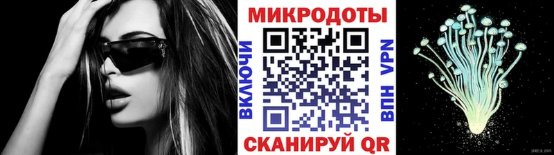 наркотики  Выкса  Галлюциногенные грибы Psilocybe 